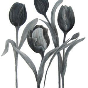 Tarja Berner-Dancing Tulips